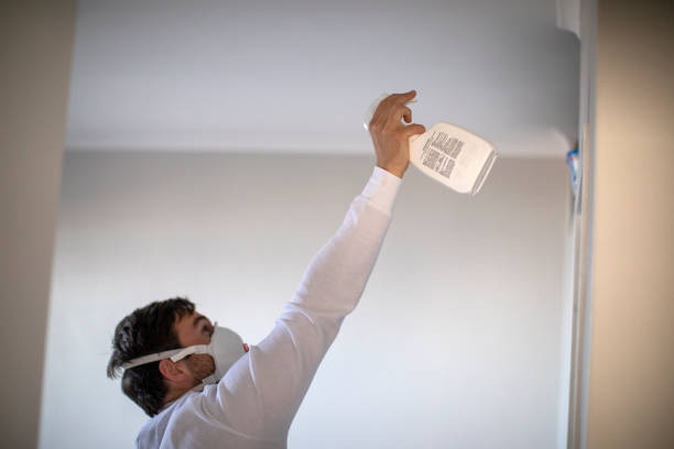 Best Office Mold Removal Services  in Berwyn, IL